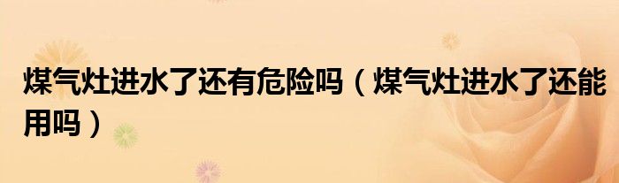 煤气灶进水了还有危险吗（煤气灶进水了还能用吗）