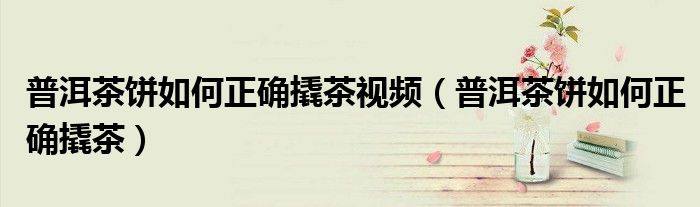 普洱茶饼如何正确撬茶视频（普洱茶饼如何正确撬茶）