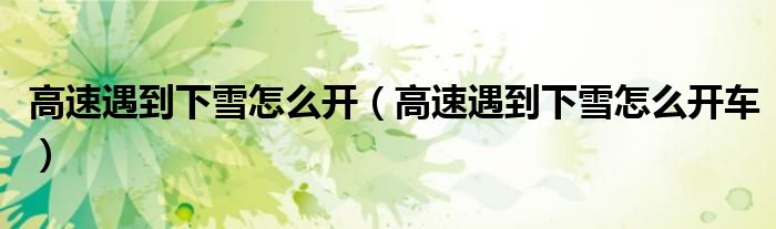 高速遇到下雪怎么开（高速遇到下雪怎么开车）