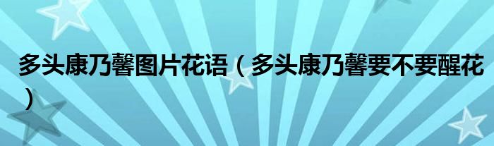 多头康乃馨图片花语（多头康乃馨要不要醒花）
