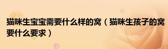 猫咪生宝宝需要什么样的窝（猫咪生孩子的窝要什么要求）