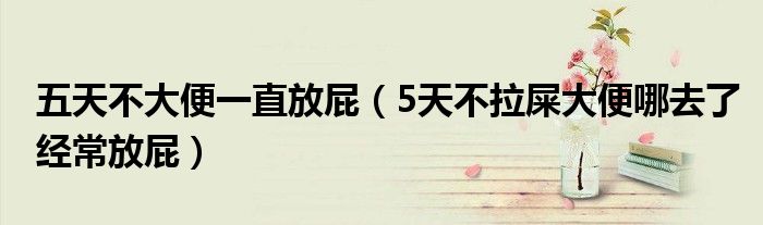 五天不大便一直放屁（5天不拉屎大便哪去了经常放屁）