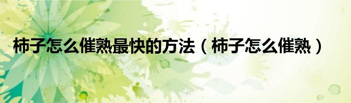 柿子怎么催熟最快的方法（柿子怎么催熟）