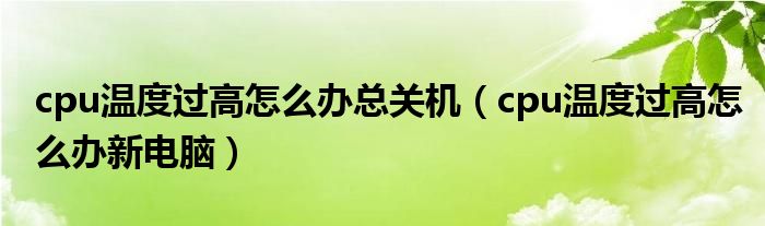 cpu温度过高怎么办总关机（cpu温度过高怎么办新电脑）