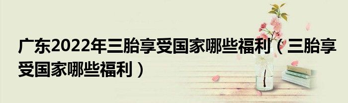 广东2022年三胎享受国家哪些福利（三胎享受国家哪些福利）