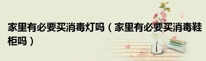 家里有必要买消毒灯吗（家里有必要买消毒鞋柜吗）