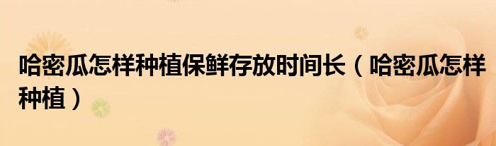 哈密瓜怎样种植保鲜存放时间长（哈密瓜怎样种植）