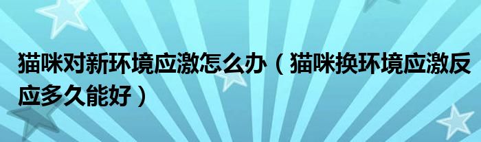 猫咪对新环境应激怎么办（猫咪换环境应激反应多久能好）