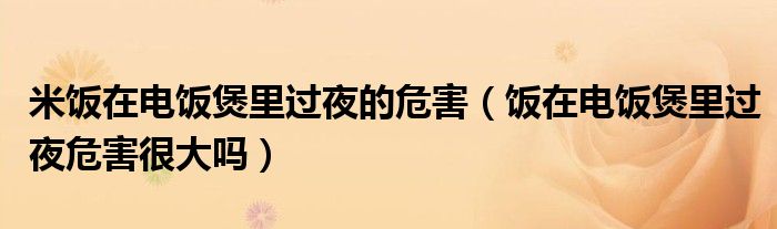 米饭在电饭煲里过夜的危害（饭在电饭煲里过夜危害很大吗）