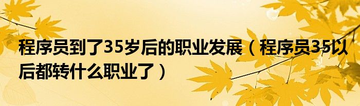 程序员到了35岁后的职业发展（程序员35以后都转什么职业了）