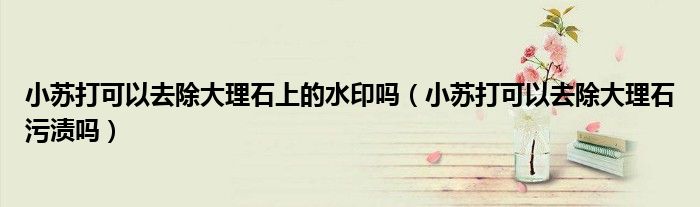 小苏打可以去除大理石上的水印吗（小苏打可以去除大理石污渍吗）