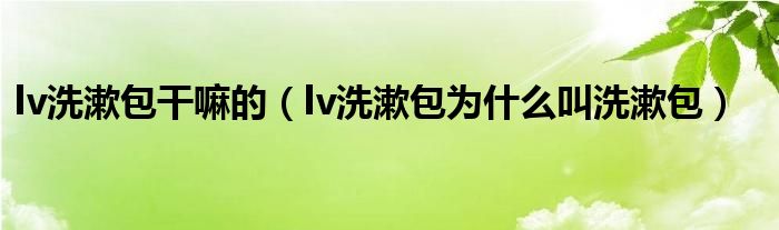 lv洗漱包干嘛的（lv洗漱包为什么叫洗漱包）