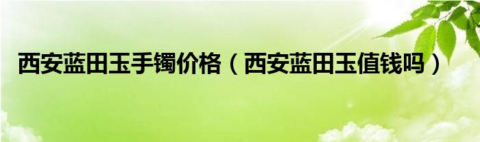 西安蓝田玉手镯价格（西安蓝田玉值钱吗）