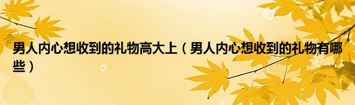 男人内心想收到的礼物高大上（男人内心想收到的礼物有哪些）