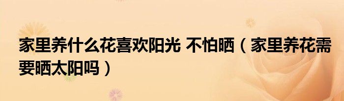 家里养什么花喜欢阳光 不怕晒（家里养花需要晒太阳吗）
