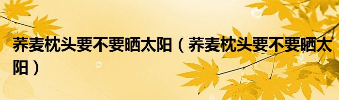 荞麦枕头要不要晒太阳（荞麦枕头要不要晒太阳）