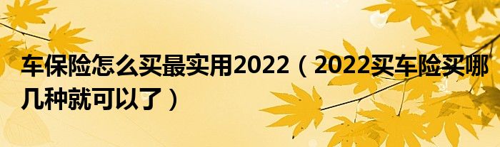 车保险怎么买最实用2022（2022买车险买哪几种就可以了）
