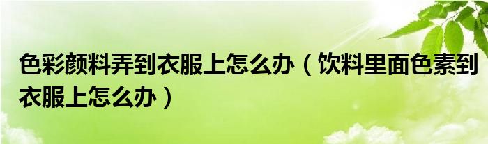 色彩颜料弄到衣服上怎么办（饮料里面色素到衣服上怎么办）