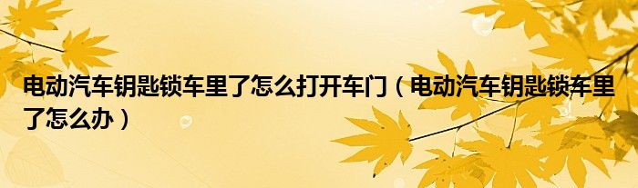 电动汽车钥匙锁车里了怎么打开车门（电动汽车钥匙锁车里了怎么办）