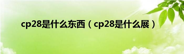 cp28是什么东西（cp28是什么展）