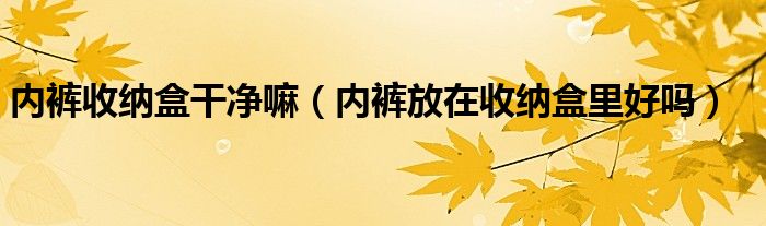内裤收纳盒干净嘛（内裤放在收纳盒里好吗）