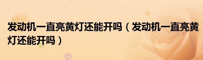 发动机一直亮黄灯还能开吗（发动机一直亮黄灯还能开吗）