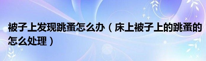 被子上发现跳蚤怎么办（床上被子上的跳蚤的怎么处理）