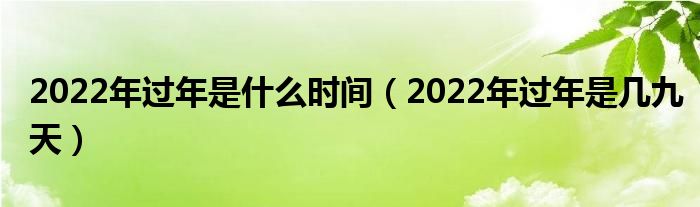2022年过年是什么时间（2022年过年是几九天）