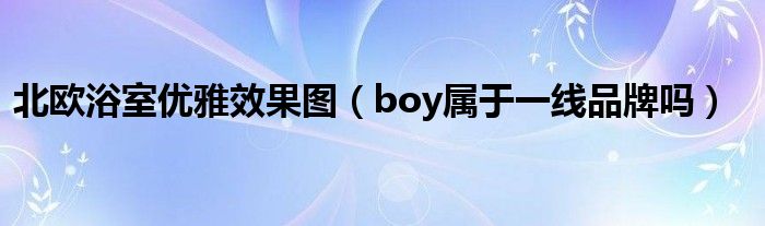 北欧浴室优雅效果图（boy属于一线品牌吗）