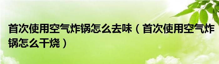 首次使用空气炸锅怎么去味（首次使用空气炸锅怎么干烧）