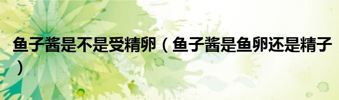 鱼子酱是不是受精卵（鱼子酱是鱼卵还是精子）