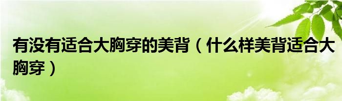 有没有适合大胸穿的美背（什么样美背适合大胸穿）