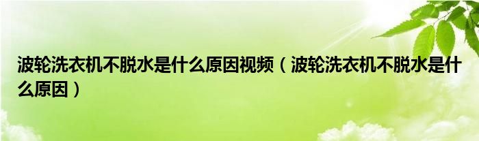 波轮洗衣机不脱水是什么原因视频（波轮洗衣机不脱水是什么原因）