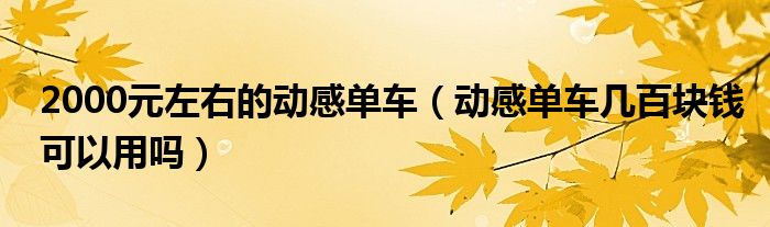 2000元左右的动感单车（动感单车几百块钱可以用吗）