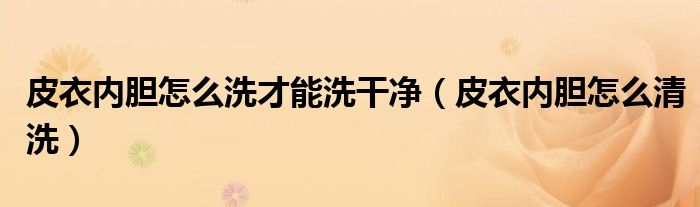 皮衣内胆怎么洗才能洗干净（皮衣内胆怎么清洗）