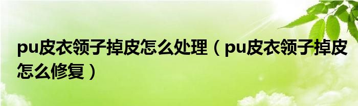 pu皮衣领子掉皮怎么处理（pu皮衣领子掉皮怎么修复）