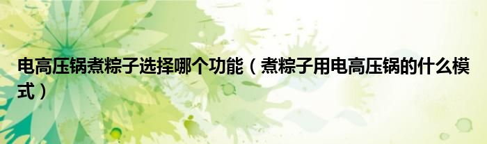 电高压锅煮粽子选择哪个功能（煮粽子用电高压锅的什么模式）