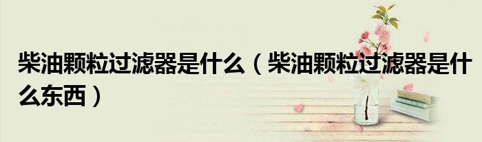 柴油颗粒过滤器是什么（柴油颗粒过滤器是什么东西）