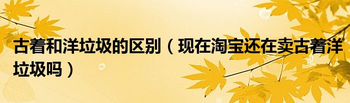 古着和洋垃圾的区别（现在淘宝还在卖古着洋垃圾吗）