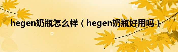 hegen奶瓶怎么样（hegen奶瓶好用吗）