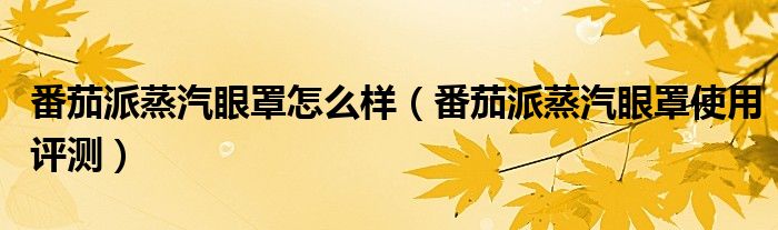 番茄派蒸汽眼罩怎么样（番茄派蒸汽眼罩使用评测）