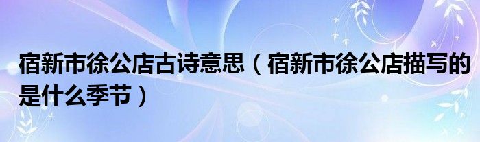 宿新市徐公店古诗意思（宿新市徐公店描写的是什么季节）