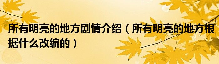 所有明亮的地方剧情介绍（所有明亮的地方根据什么改编的）