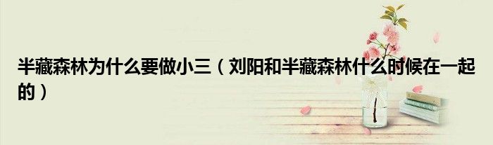 半藏森林为什么要做小三（刘阳和半藏森林什么时候在一起的）