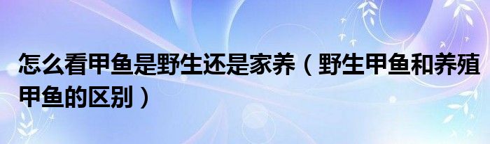 怎么看甲鱼是野生还是家养（野生甲鱼和养殖甲鱼的区别）