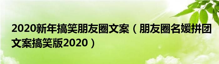 2020新年搞笑朋友圈文案（朋友圈名媛拼团文案搞笑版2020）
