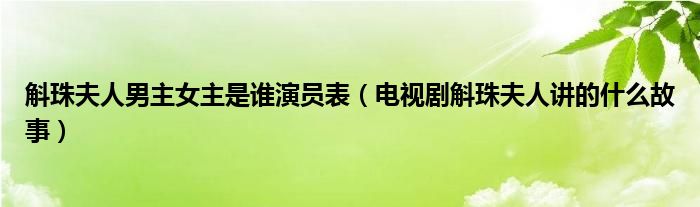 斛珠夫人男主女主是谁演员表（电视剧斛珠夫人讲的什么故事）