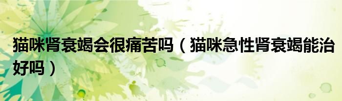 猫咪肾衰竭会很痛苦吗（猫咪急性肾衰竭能治好吗）