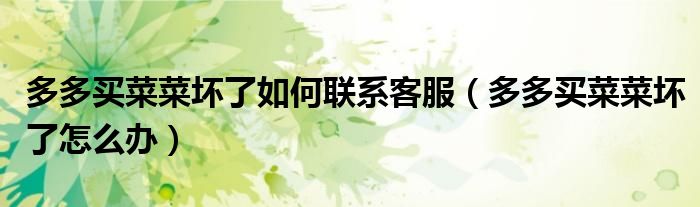 多多买菜菜坏了如何联系客服（多多买菜菜坏了怎么办）