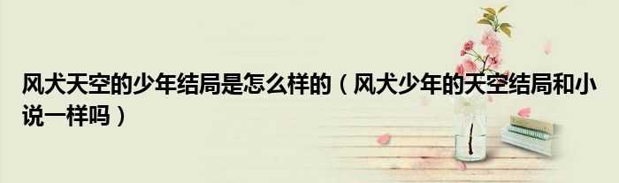 风犬天空的少年结局是怎么样的（风犬少年的天空结局和小说一样吗）